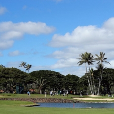 Sony Open (foto: GettyImages)