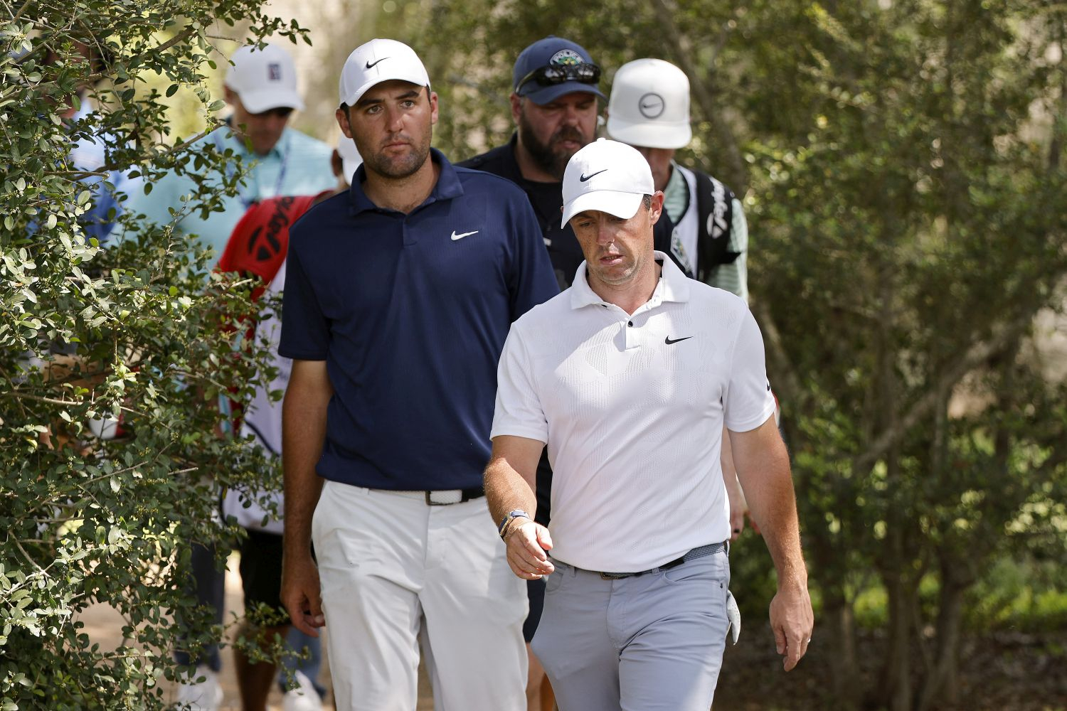 Scottie Scheffler a Rory McIlroy (Foto: Getty Images)